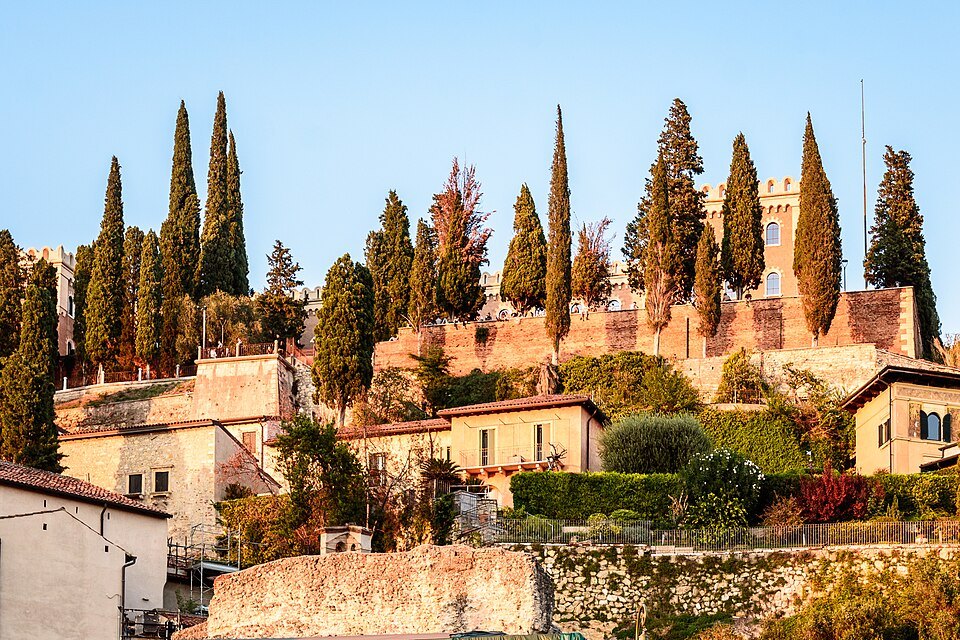 Cypresses and buildings on the Castel San Pietro hillside