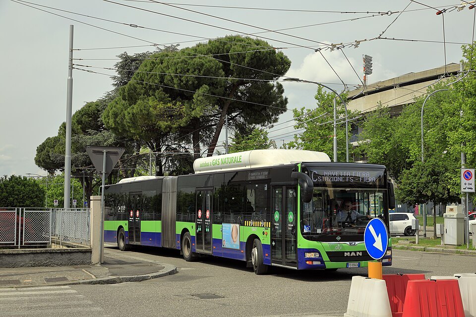 An articulated city bus on a tree-lined Verona street