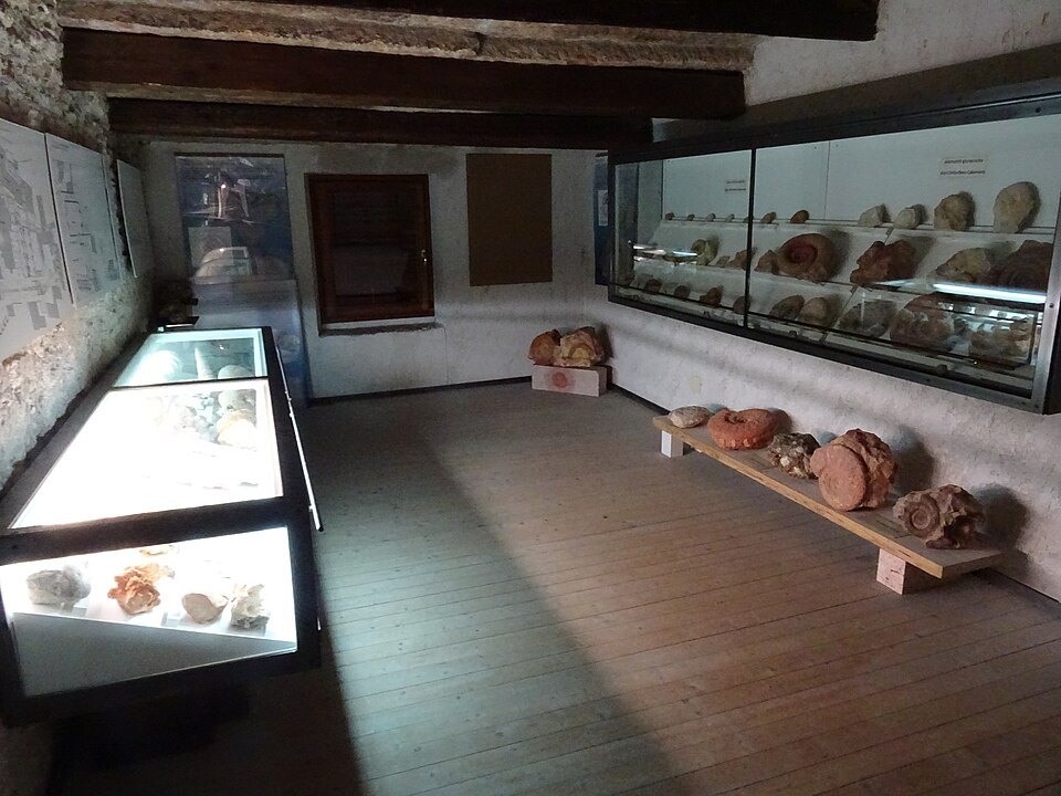 Display cases in the parish museum at San Giorgio di Valpolicella