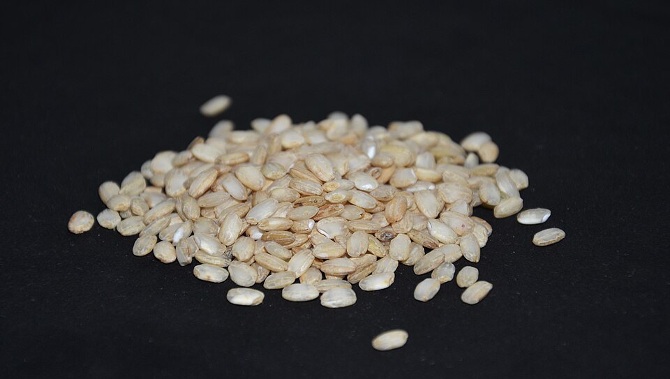 Grains of Vialone Nano rice