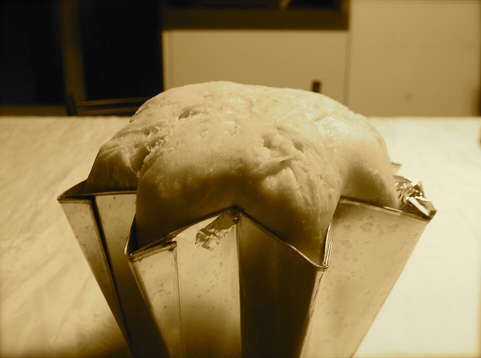 Pandoro dough rising in its star-shaped tin